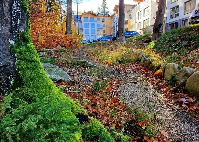 Kilińskiego 17a/9 Apartament *