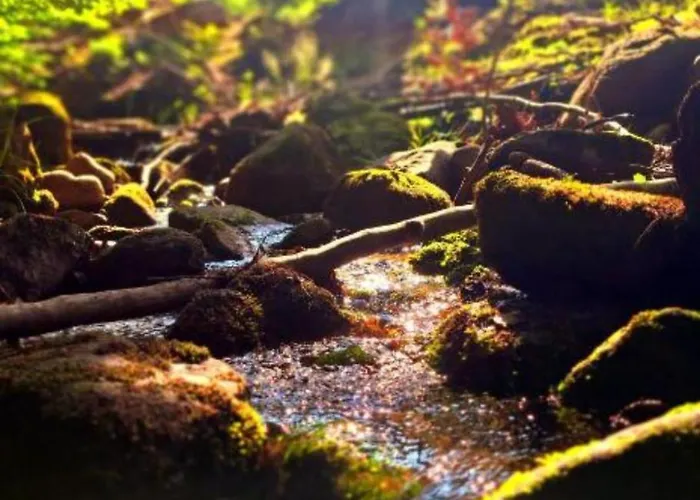 Apartment Kilinskiego 17a/9 Szklarska Poreba